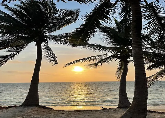 Hotel Ocean Tide San Pedro (Ambergris Caye)