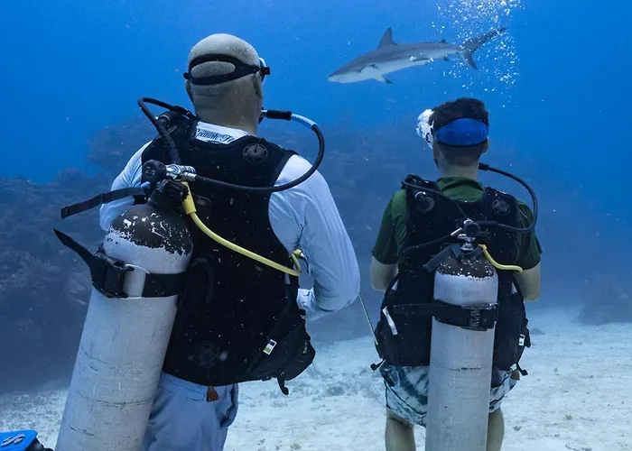 Hotel Ocean Tide 2*